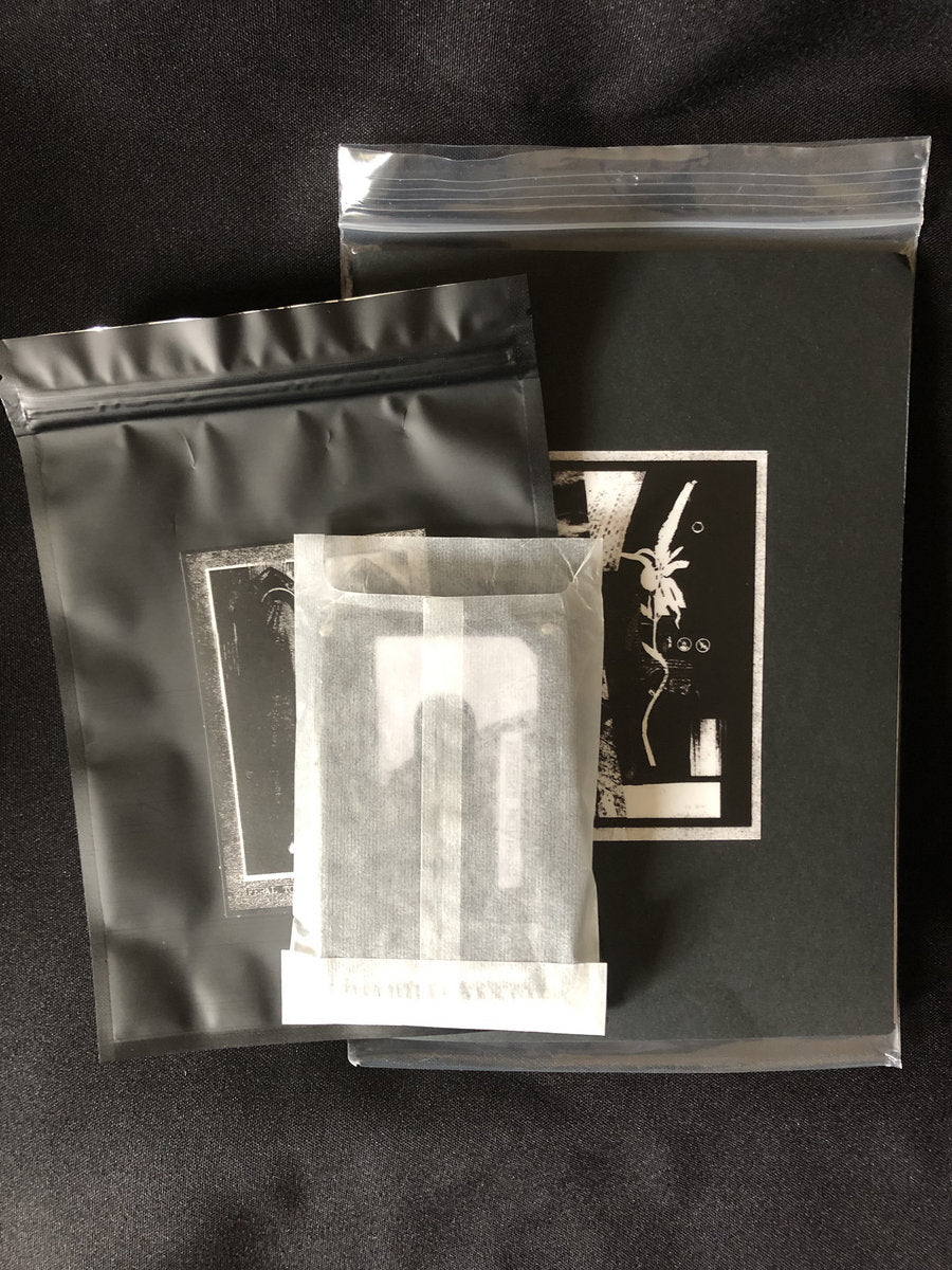 Luxury Mollusc / Feral Torch Split (Hibernian Leather) Cs