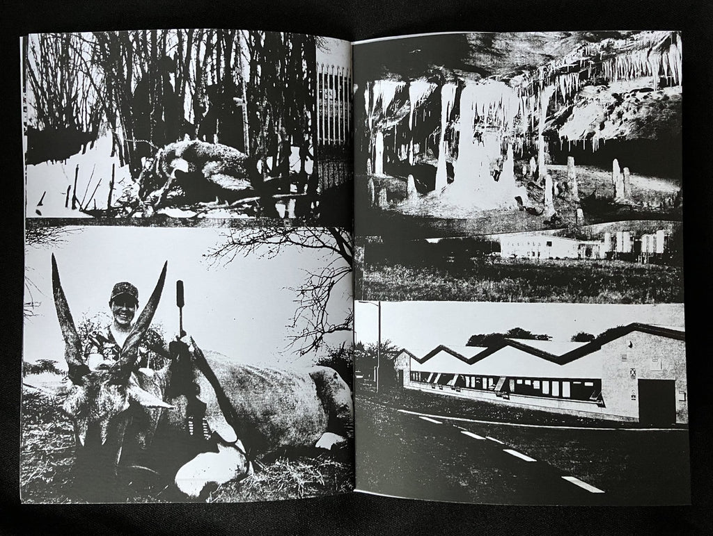 Feral Torch - Fertile Deep Wolf (Hibernian Leather) Cs