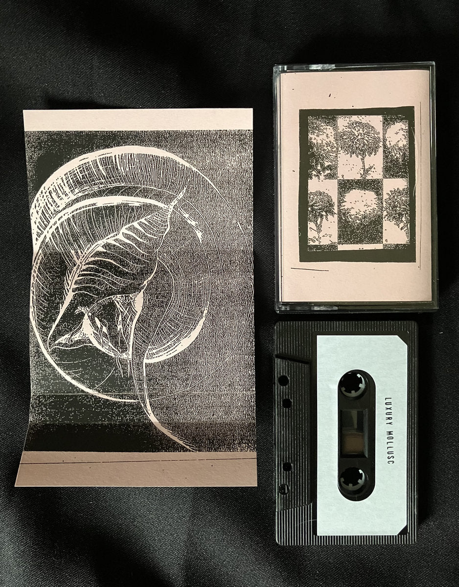 Bleeding Olm / Luxury Mollusc - Split (Hibernian Leather)
