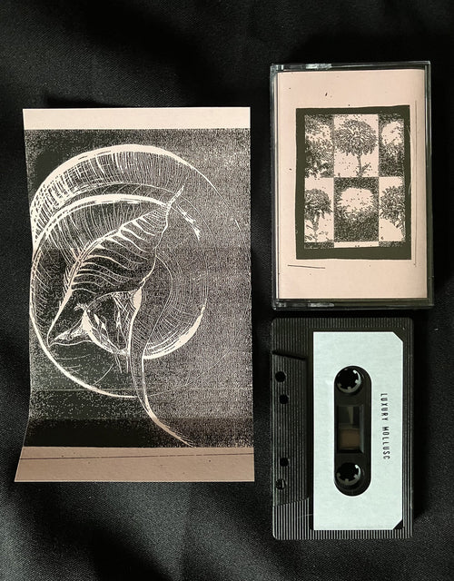 Bleeding Olm / Luxury Mollusc - Split (Hibernian Leather)