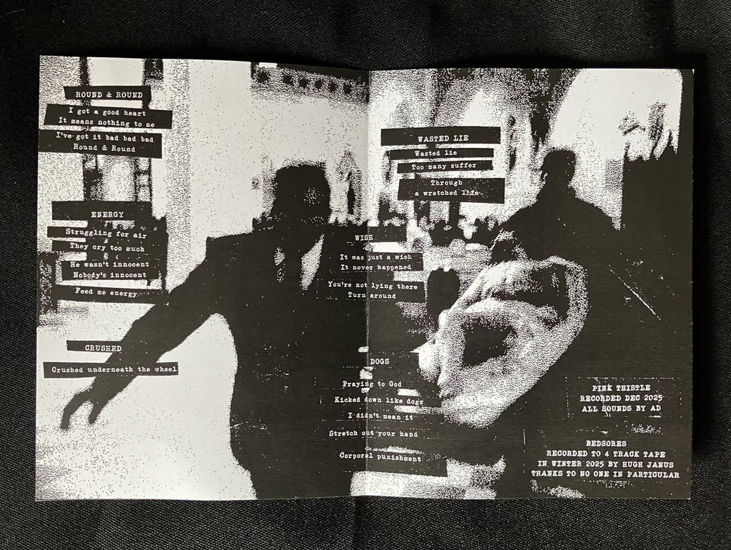 Bedsores / Pink Thistle - Split (Hibernian Leather) Cs