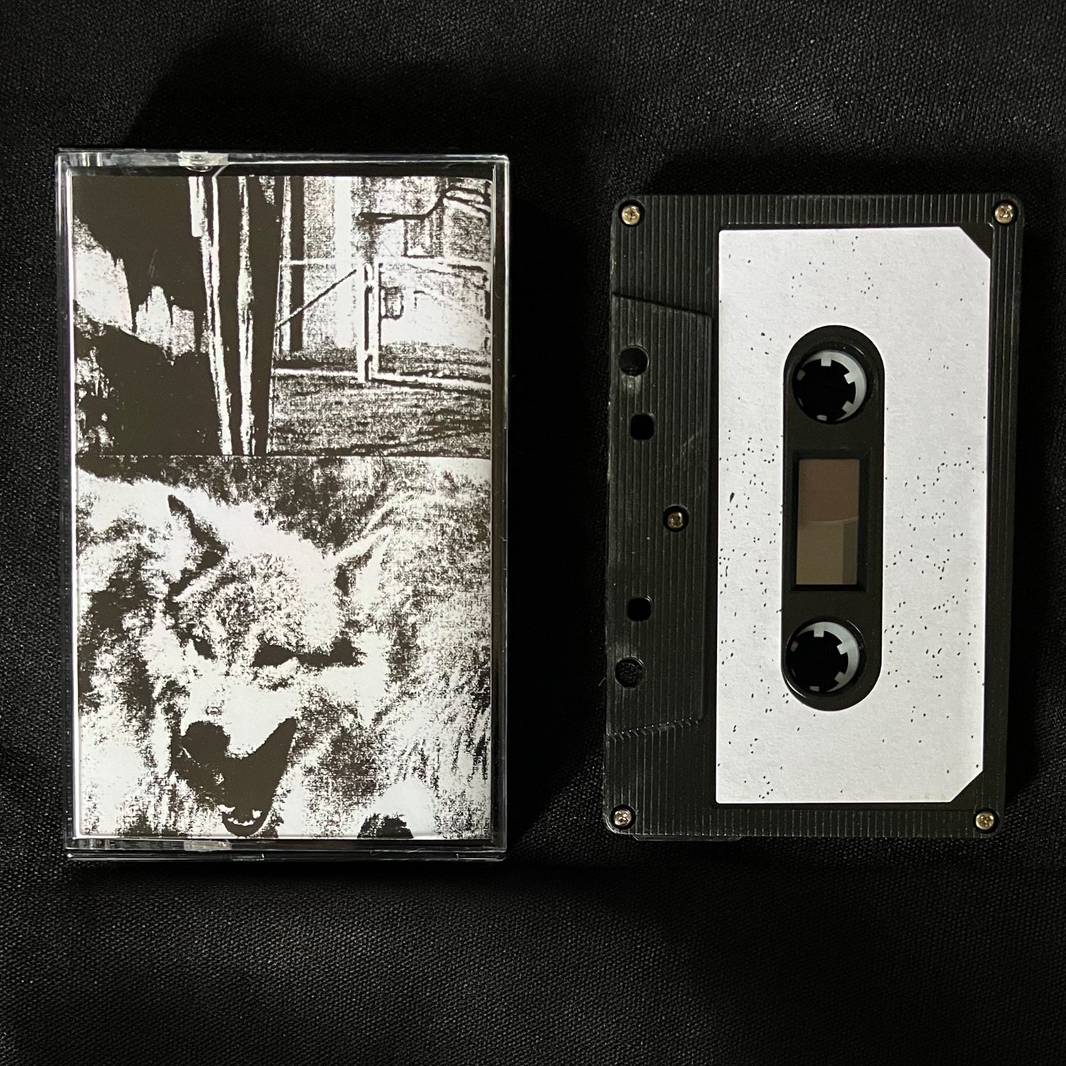 Feral Torch - Fertile Deep Wolf (Hibernian Leather) Cs