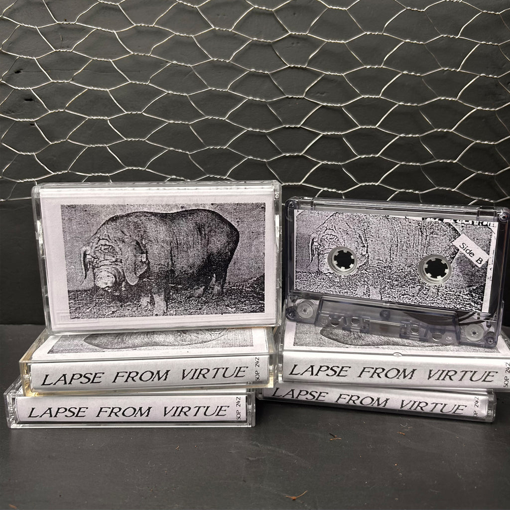V/A - Lapse From Virtue (Sound Of Pig) Cs