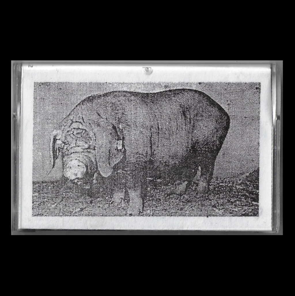 V/A - Lapse From Virtue (Sound Of Pig) Cs