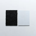 Jackson-Pratt & Shredded Nerve - Split CD (Total Black)